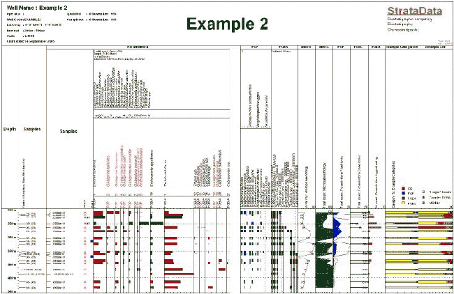 Example StrataBugs biostratigraphic distribution chart